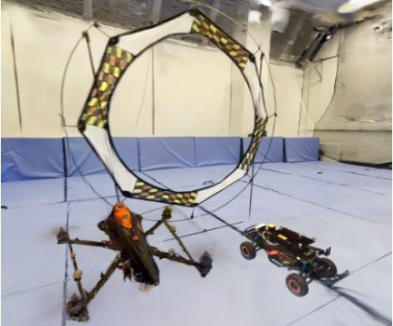 The FalconGym arena setup used for real closed-loop trials.
